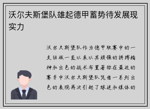 沃尔夫斯堡队雄起德甲蓄势待发展现实力